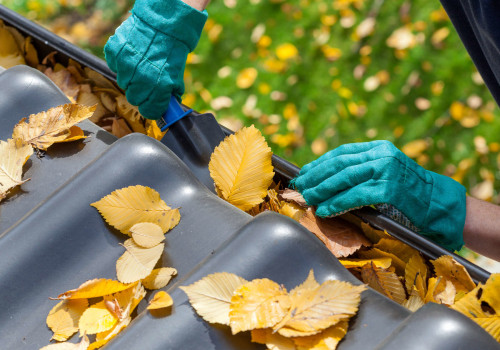 Gutter Cleaning and Maintenance Packages: The Complete Guide