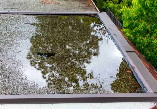 Pooled Water on the Roof: Causes, Solutions, and Prevention